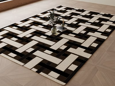 Black And White Geometric Pattern Square Carpet On Wooden Floor With Vase And Books 3d model