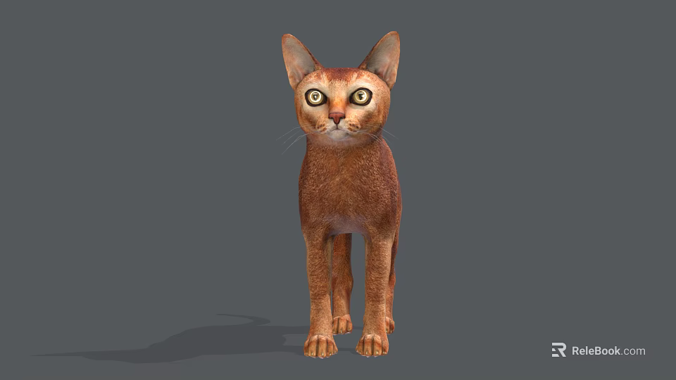 Brown Cat With Large Ears And Round Eyes Standing On Gray Background 3d model 
