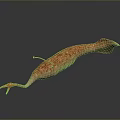 Realistic 3D Rendering Of Pink Spotted Creature With Long Snout Tail And Fins