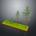 Different Sizes Pine Trees Growing On Green Grass With Red Border Base