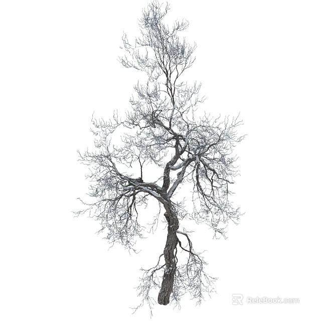 Single Bare Arbor Featuring Clear Branches And Detailed Trunk Texture 3d model 