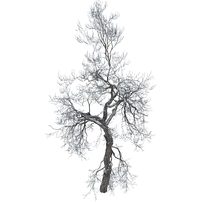 Modern Dead Tree 3d model