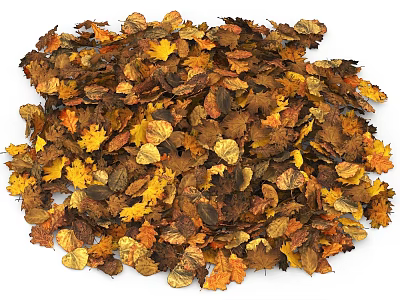 Dry Autumn Fall Leaves Pile in Natural Yellow Brown Orange Tones 3d model