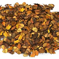 Dry Autumn Fall Leaves Pile in Natural Yellow Brown Orange Tones
