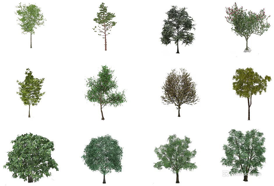 Various Arbor Varieties With Different Foliage And Tree Shapes For Landscaping 3d model