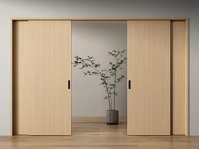 Modern Wooden Sliding Doors Design With Indoor Plant And Light Wall Background 3d model