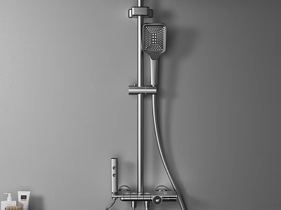 Modern Bathroom Shower System With Handheld Head Fixed Pole And Metal Finish 3d model