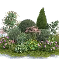 Diverse Flowering Shrubs in Garden Landscape With Purple Pink Flowers Green Foliage Conical Round Shapes