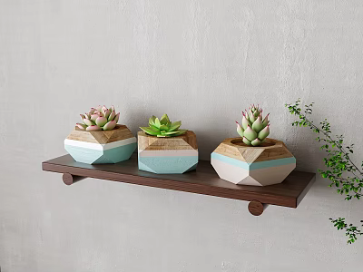 Bonsai Potted Succulents on Wooden Shelf with Hexagonal Blue White Green Pots and Green Leaves 3d model