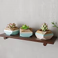 Bonsai Potted Succulents on Wooden Shelf with Hexagonal Blue White Green Pots and Green Leaves
