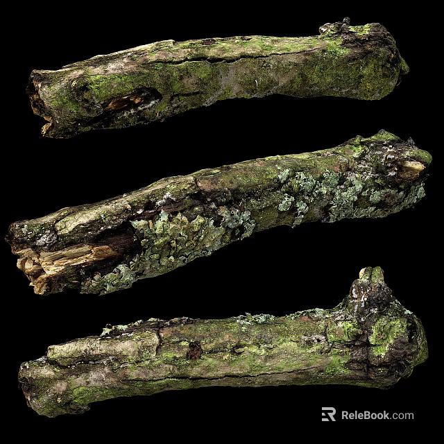 Natural Stone And Wood Logs Displaying Moss Covered Rustic Organic Surface Texture 3d model 