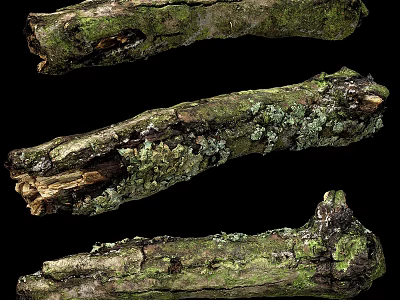 Dead tree with moss 3d model