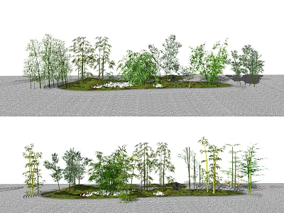 Various Bamboo Species In Natural Garden Landscape With Green Grass And Decorative Stones 3d model