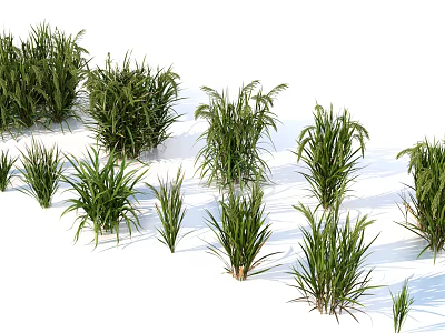Green Grass Like Crops Growing Healthily In Multiple Clusters On White Background 3d model