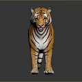 Realistic 3D Tiger Model With Orange Fur Black Stripes And Standing Posture
