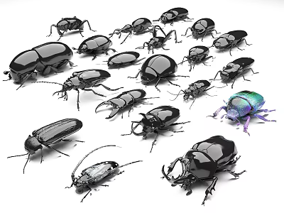 Various Beetle Species With Black Green Exoskeletons Shiny Surfaces And Diverse Shapes 3d model