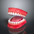 Oral Organs Detailed View Of Open Mouth With White Teeth Pink Tongue And Gums