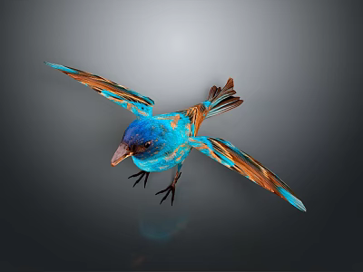 Vibrant Flying Bird With Blue Head Orange And Blue Feathers On Wings Against Gray Background 3d model