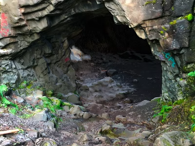 Rocky Cave Entrance Scenery With Moss Covered Stones And Green Plants 3d model