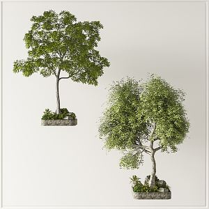 Modern Tree Landscape Tree Combination 3d model