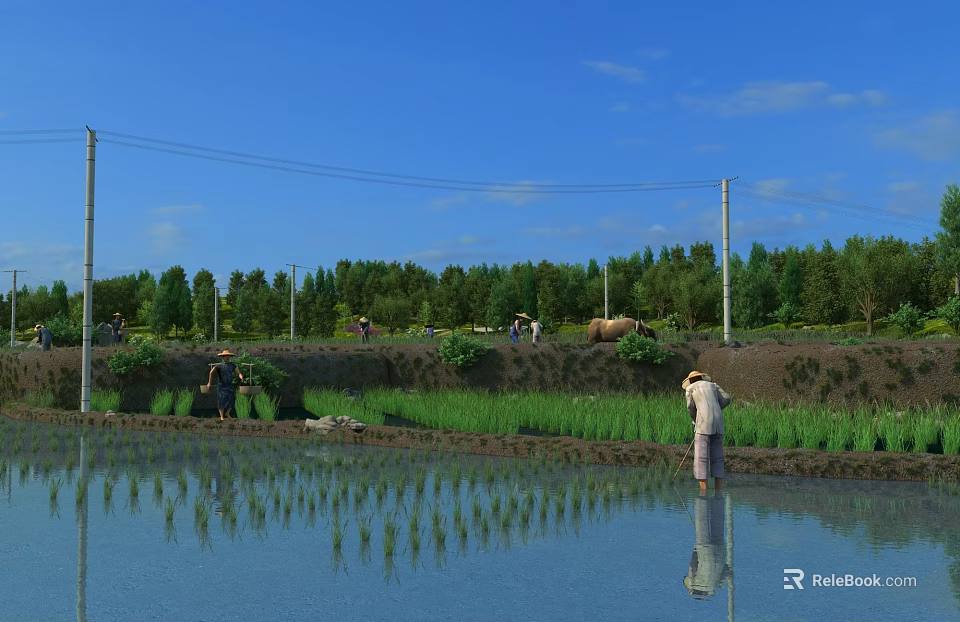 Beautiful Rural Countryside Scenery With Rice Fields Farmers Cattle Blue Sky And Reflections 3d model 