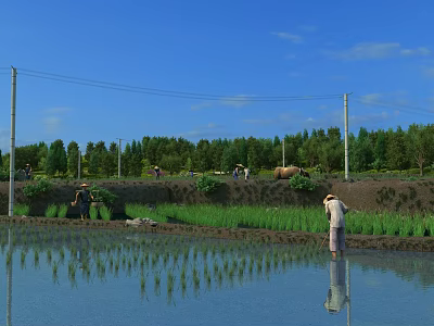 Beautiful Rural Countryside Scenery With Rice Fields Farmers Cattle Blue Sky And Reflections 3d model