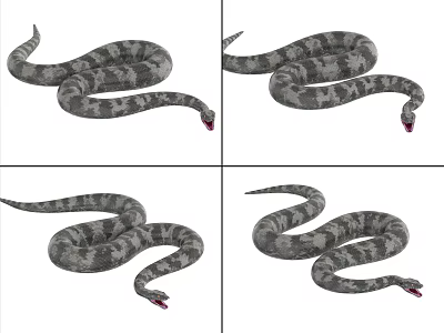 Gray Black Patterned Snake Reptile With Red Head In Various Coiled And Stretched Poses 3d model