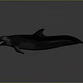 Black Whale With Open Mouth And Sharp Teeth 3D Rendered On Gray Background