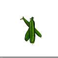 Fresh Green Peas in Opened Pea Pods with Tender Texture and Vibrant Color