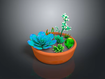 Colorful Succulent Plants in Terracotta Pot with Blue Green Leaves and White Flowers 3d model