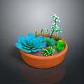 Colorful Succulent Plants in Terracotta Pot with Blue Green Leaves and White Flowers