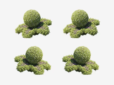 Spherical Shaped Garden Shrubs With Leafy Base And Lush Green Foliage 3d model