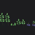 Cartoon Scene Featuring Blue Berries and Green Leaves on Black Background