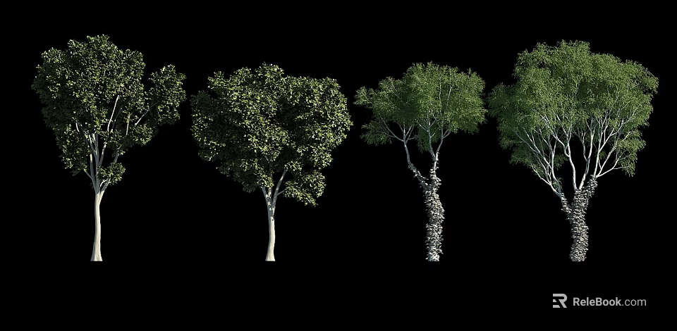 Various Tall Trees Displaying Lush Green Foliage and Distinct Trunk Shapes 3d model 