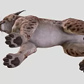 Wild Lynx With Spotted Fur And Tufted Ears In Standing Position