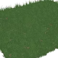 Fresh Green Grass Turf With Thick Blades And Natural Healthy Look