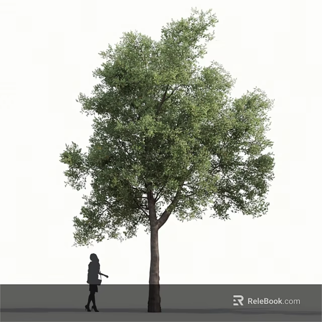 Tall Arbor With Lush Green Foliage And Person Standing Under 3d model 