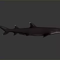 Realistic Dark Shark 3D Model With Detailed Fins And Gray Background Reflection