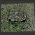 Natural Wooden Stone Stump Decorative Piece With Rustic Texture And Green Moss