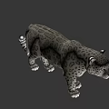 Realistic Snow Leopard 3D Model With Detailed Fur And Lifelike Features 3d model