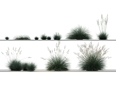 Different Forms of Herbaceous Plants Arranged on White Background Shelves with Natural Green Foliage 3d model