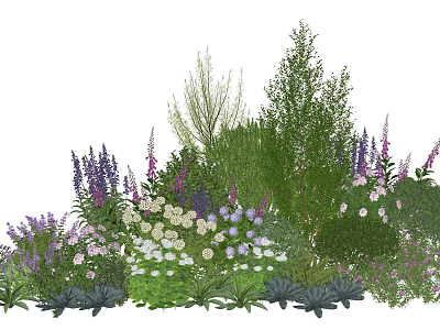 Colorful Garden Plant Combination With Purple White Flowers Green Shrubs And Herbs 3d model