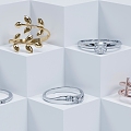 The Modern Ring 3d model