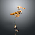 Detailed Animal Skeleton of Bird in Standing Pose with Long Beak and Legs