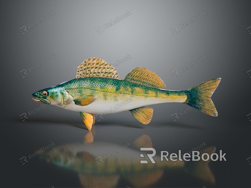 Fish Freshwater Fish Sea Fish Animal Game Animal Cartoon Animal Realistic Animal model