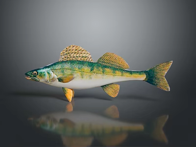 Colorful Aquatic Fish With Green Yellow Body And Fins On Dark Background 3d model