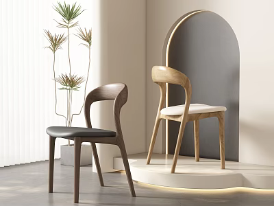 Modern Dining Chairs With Wooden Frames Dark Light Black White Cushions and Plant 3d model
