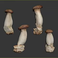 Modern Mushroom Shiitake Straw Mushroom Poisonous Mushroom 3d model
