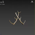 Pair of Natural Antler Decorative Ornament Set for Elegant Rustic Home Interior