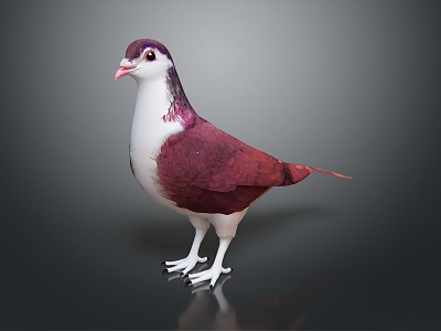 Modern carrier pigeon food pigeon play pigeon racing pigeon racing model